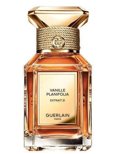 guerlain vanille planifolia dupe